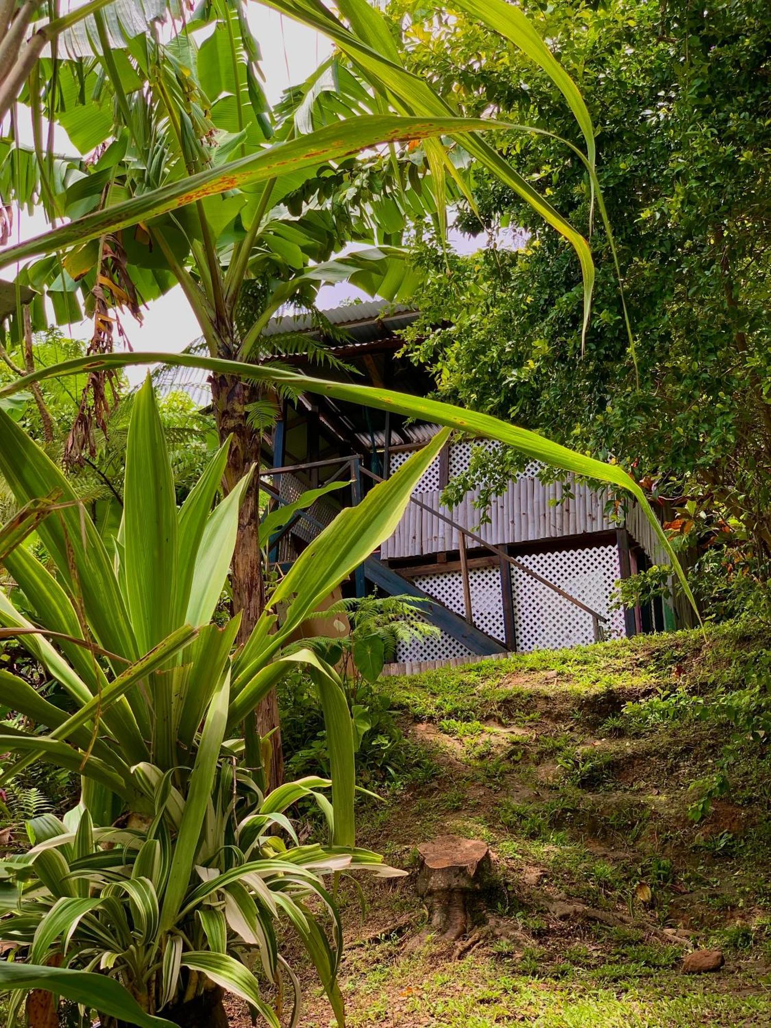 Le Petit Paradis Roseau Exterior photo